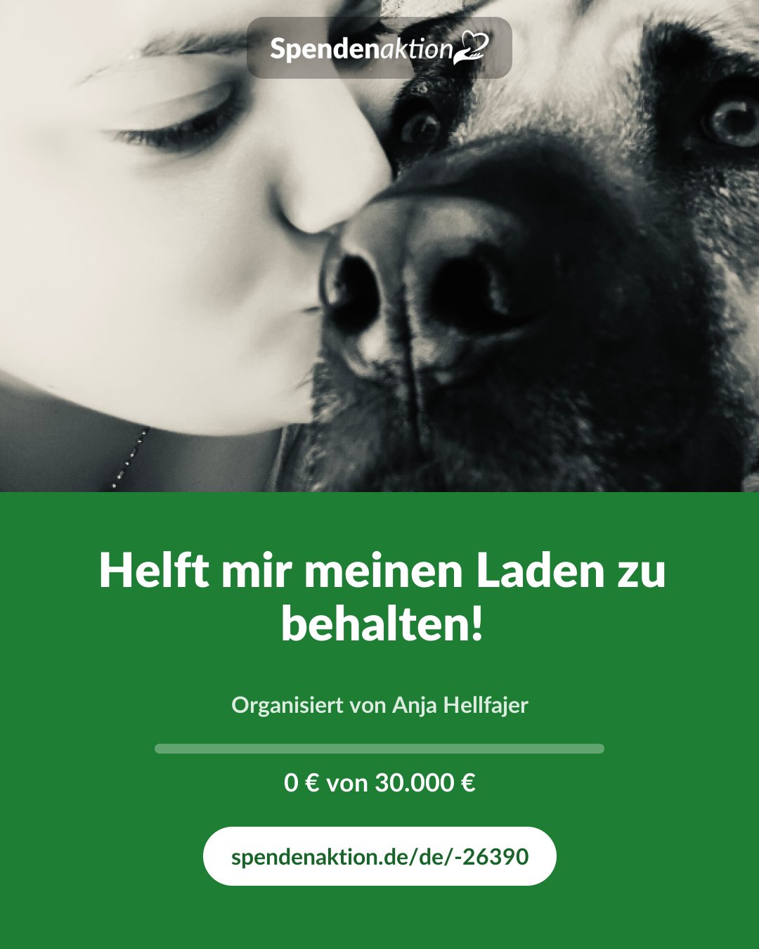 Vorschau des Bildes