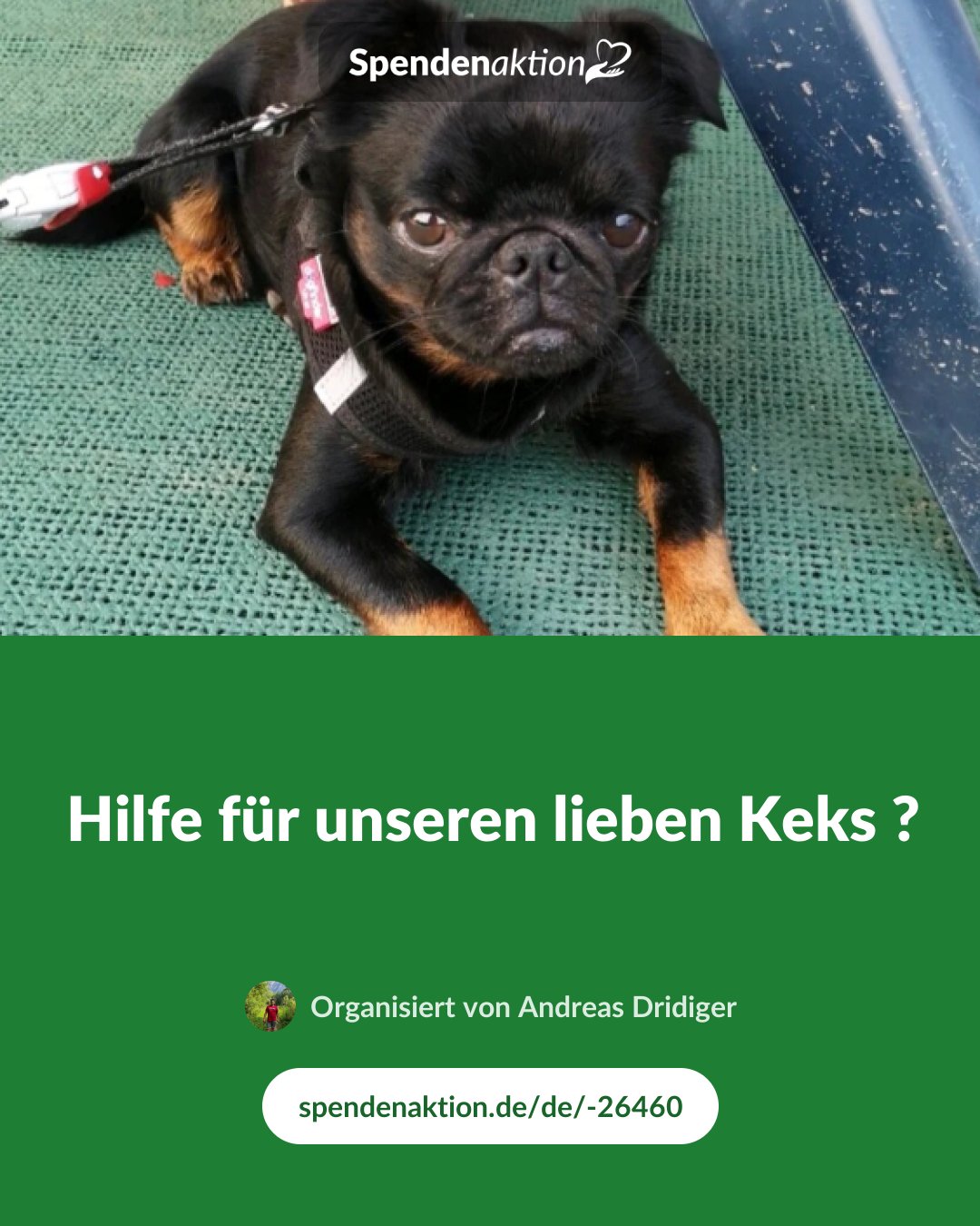 Vorschau des Bildes