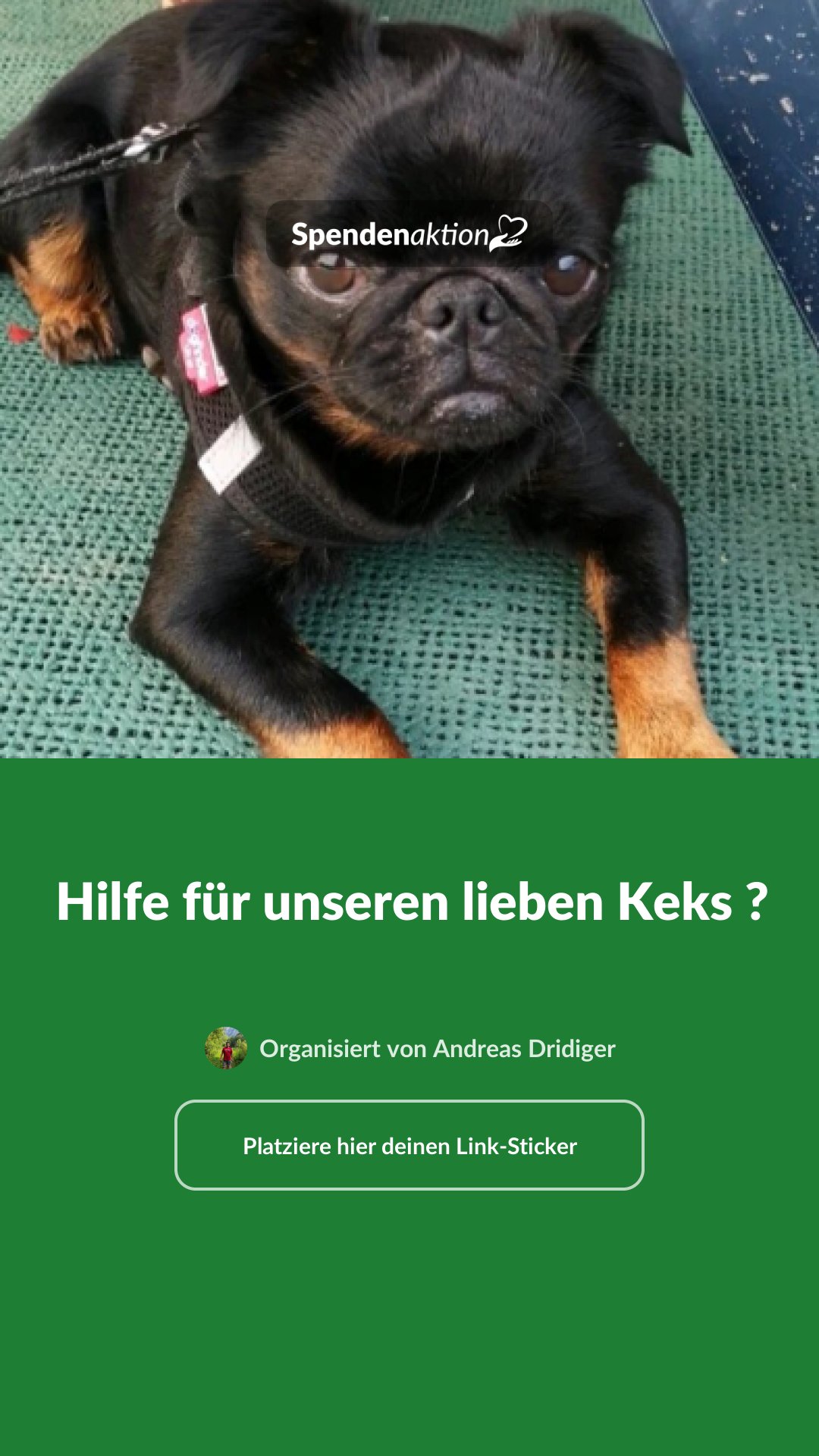 Vorschau des Bildes