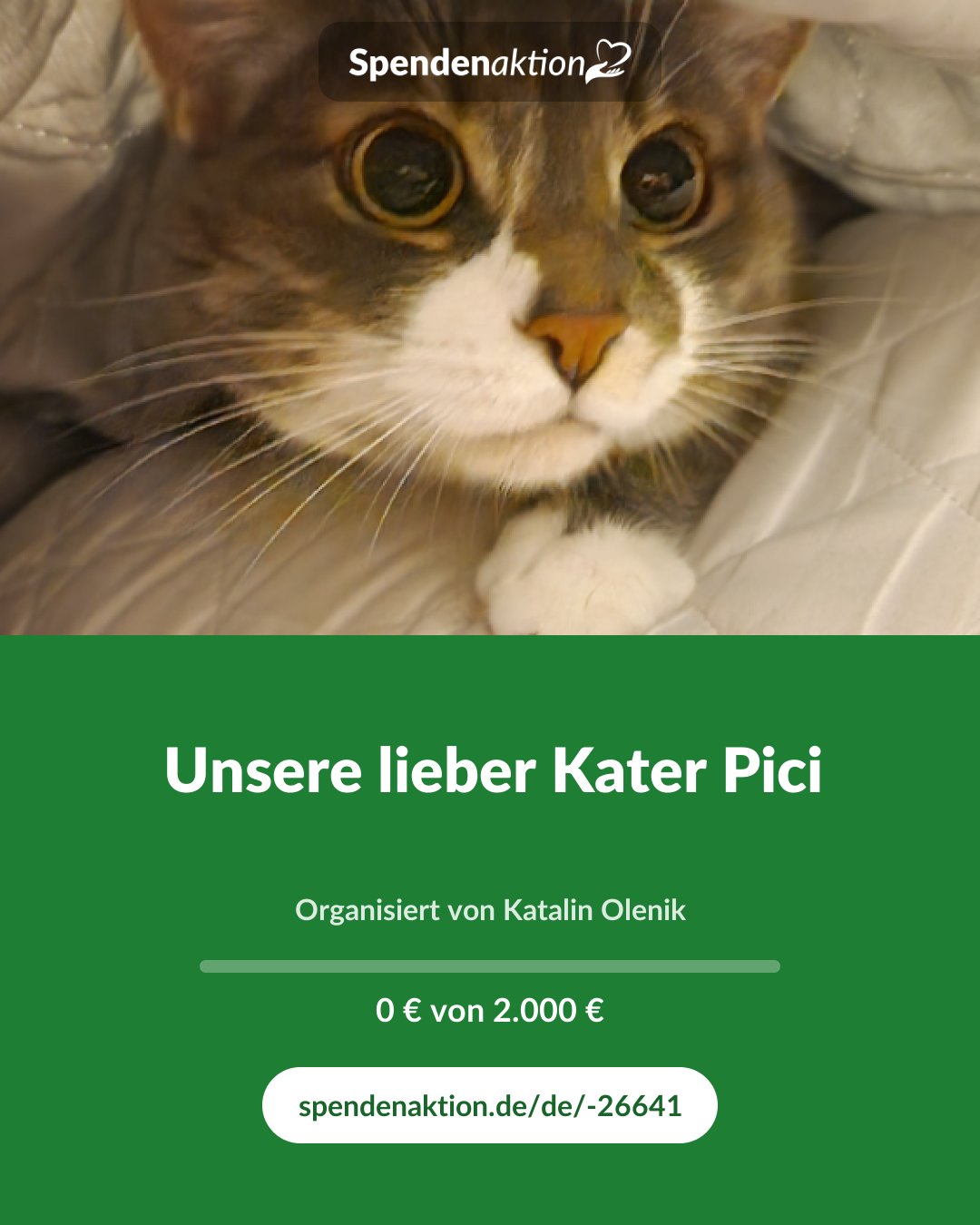 Vorschau des Bildes