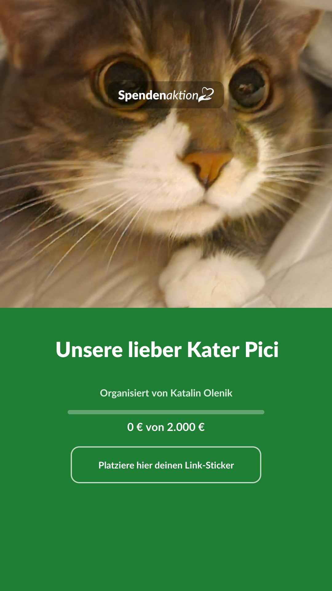 Vorschau des Bildes