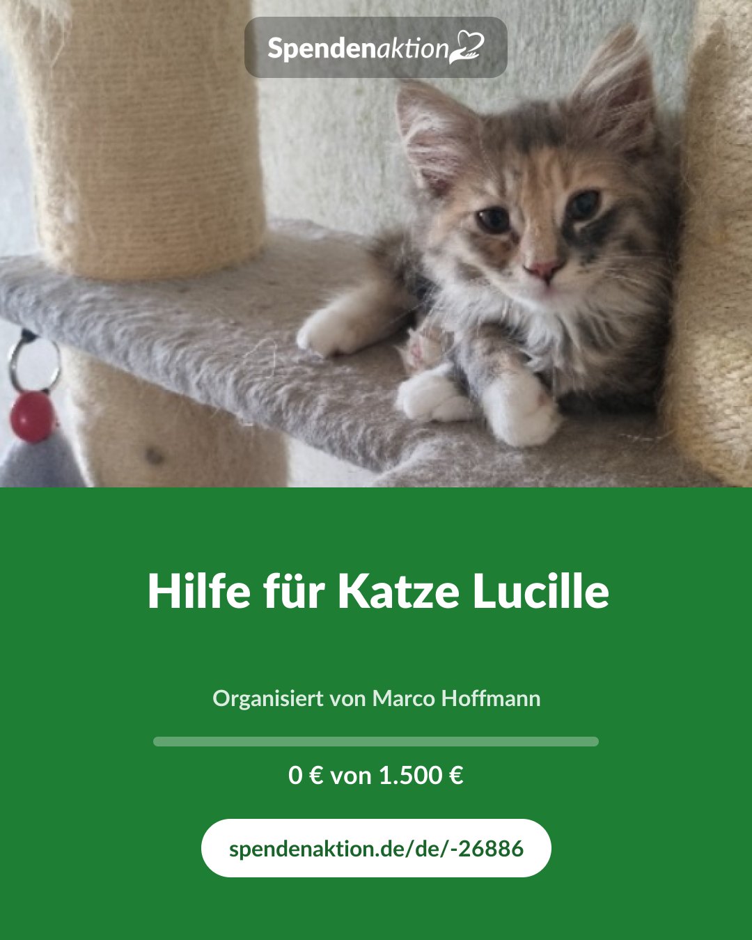 Vorschau des Bildes