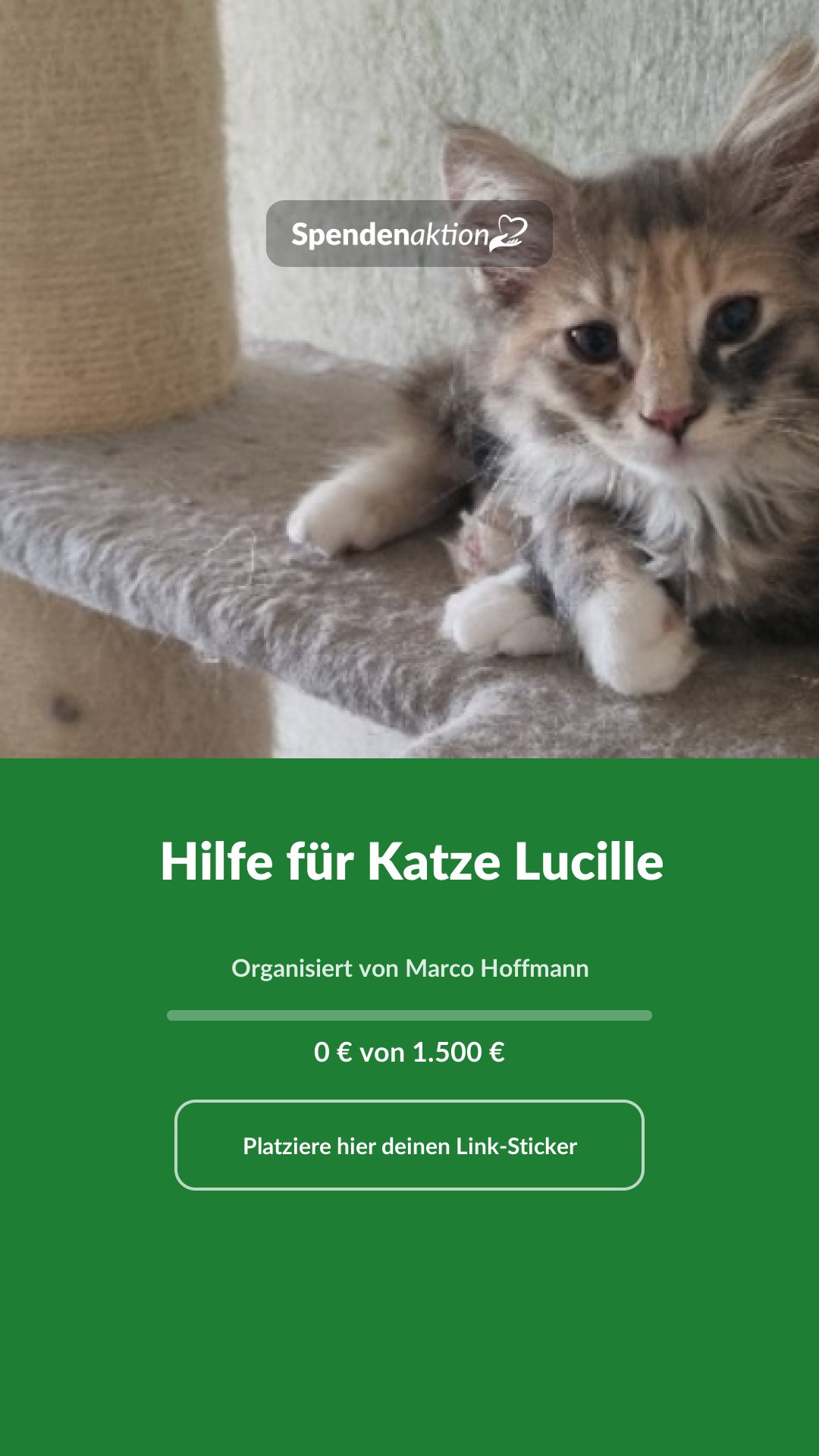 Vorschau des Bildes