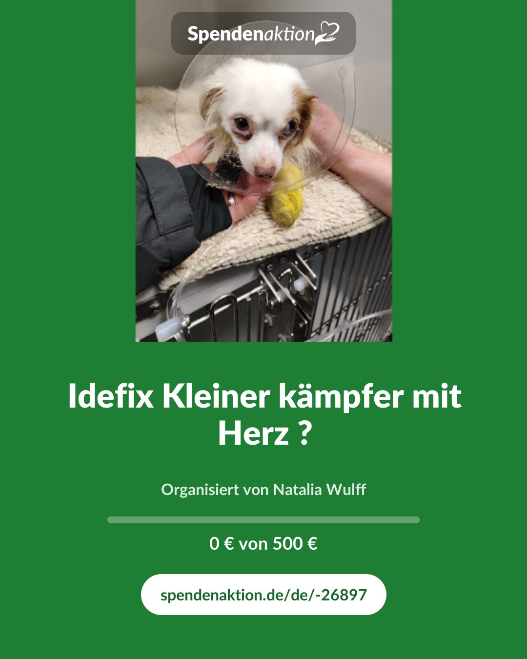 Vorschau des Bildes