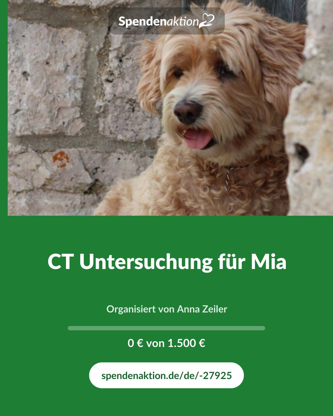 Vorschau des Bildes