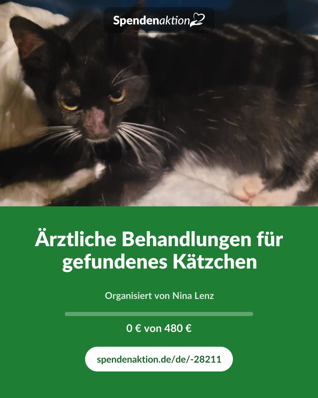 Vorschau des Bildes