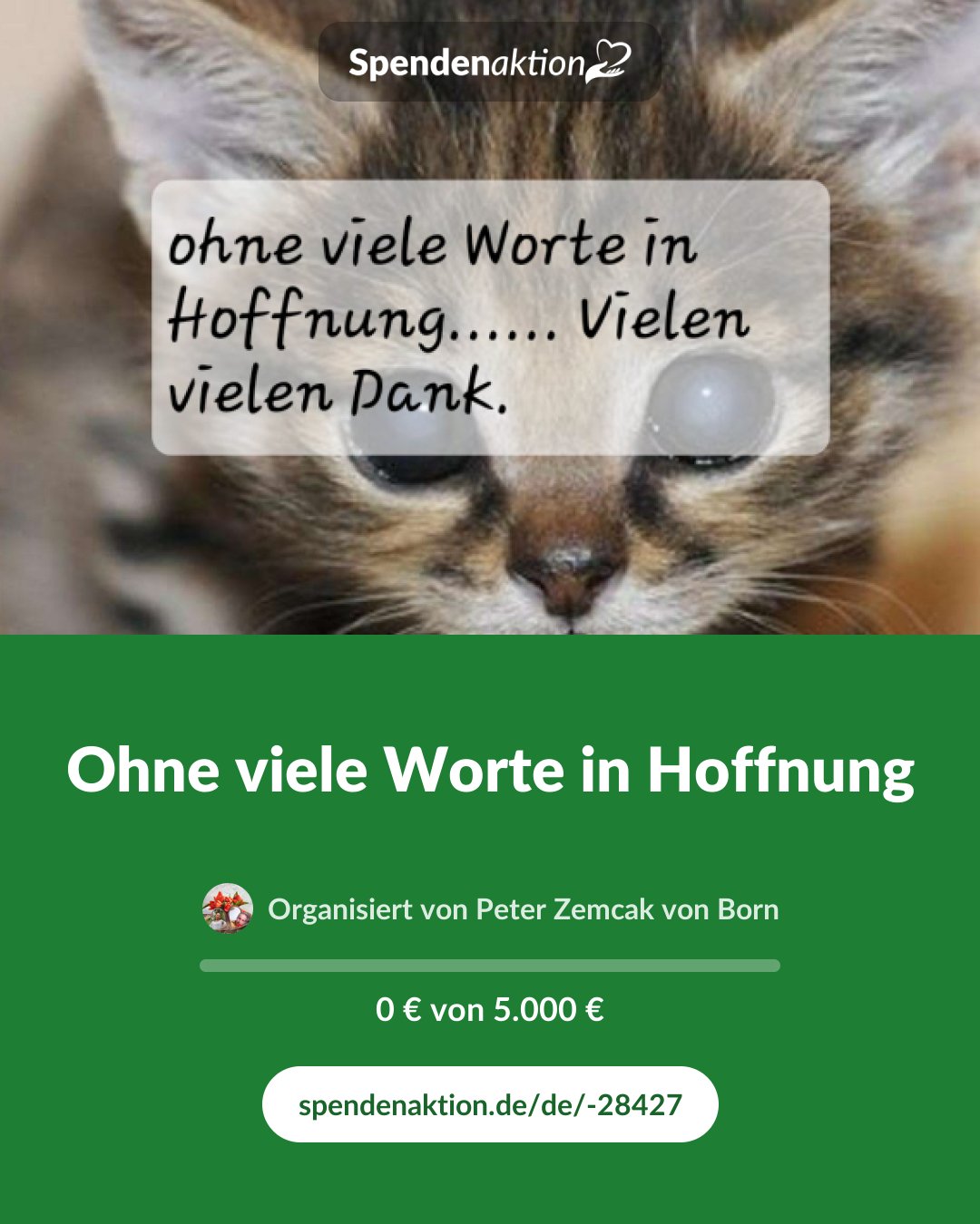 Vorschau des Bildes