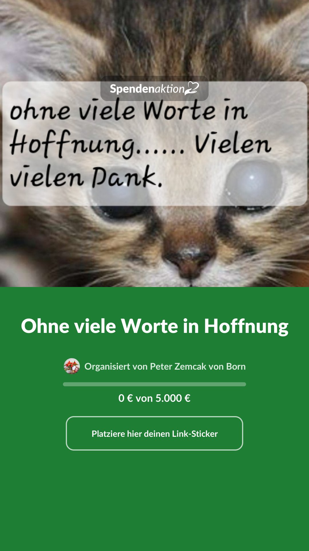 Vorschau des Bildes