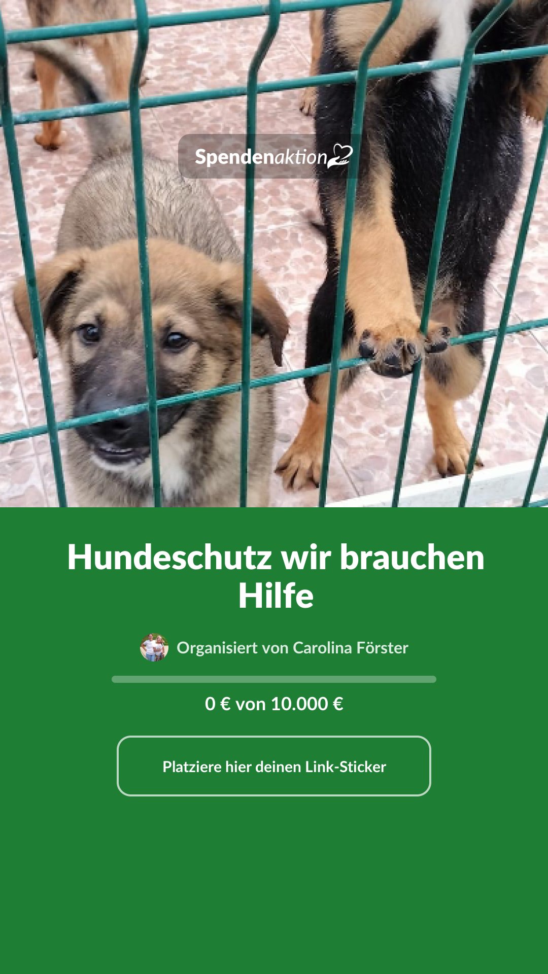 Vorschau des Bildes