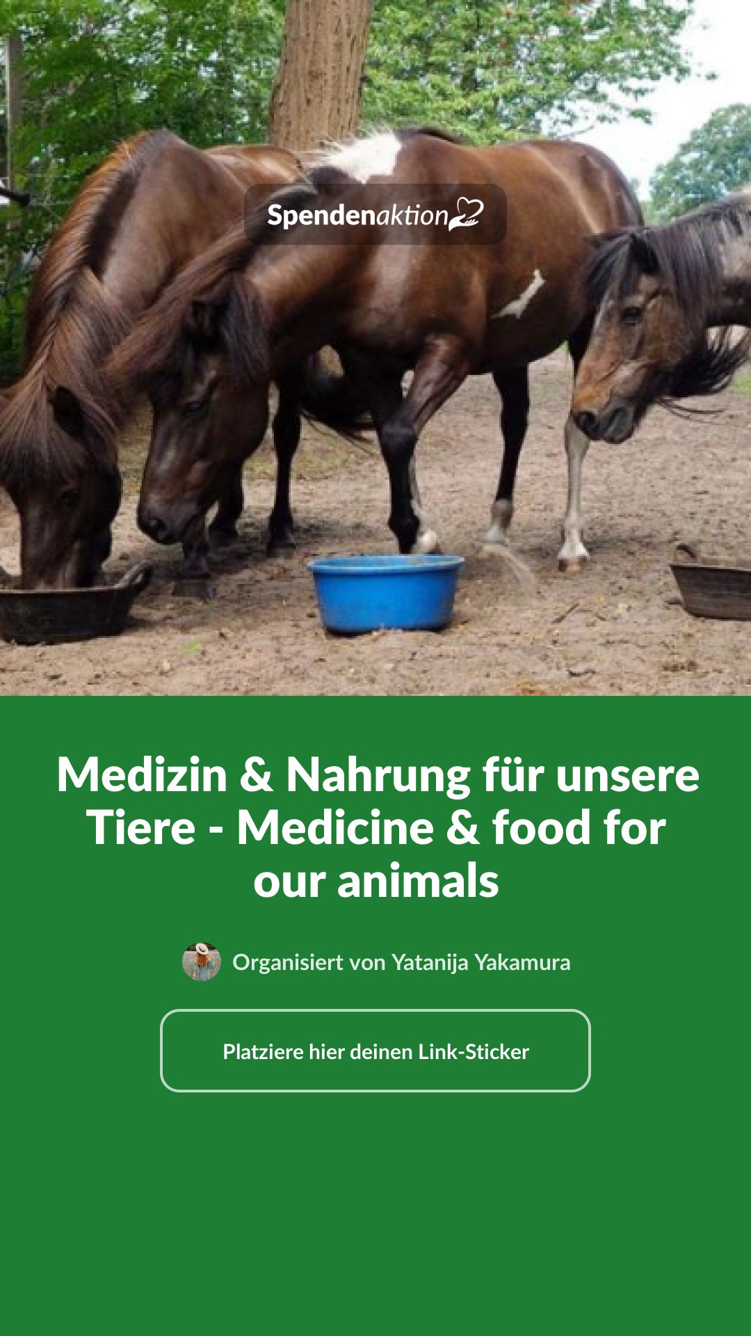 Vorschau des Bildes