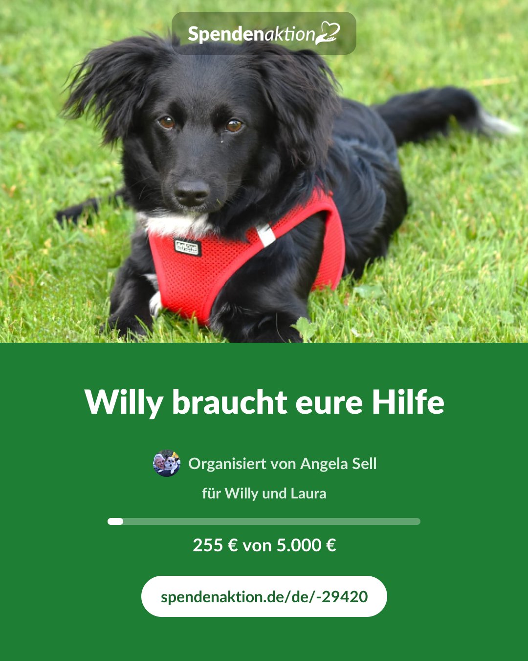 Vorschau des Bildes