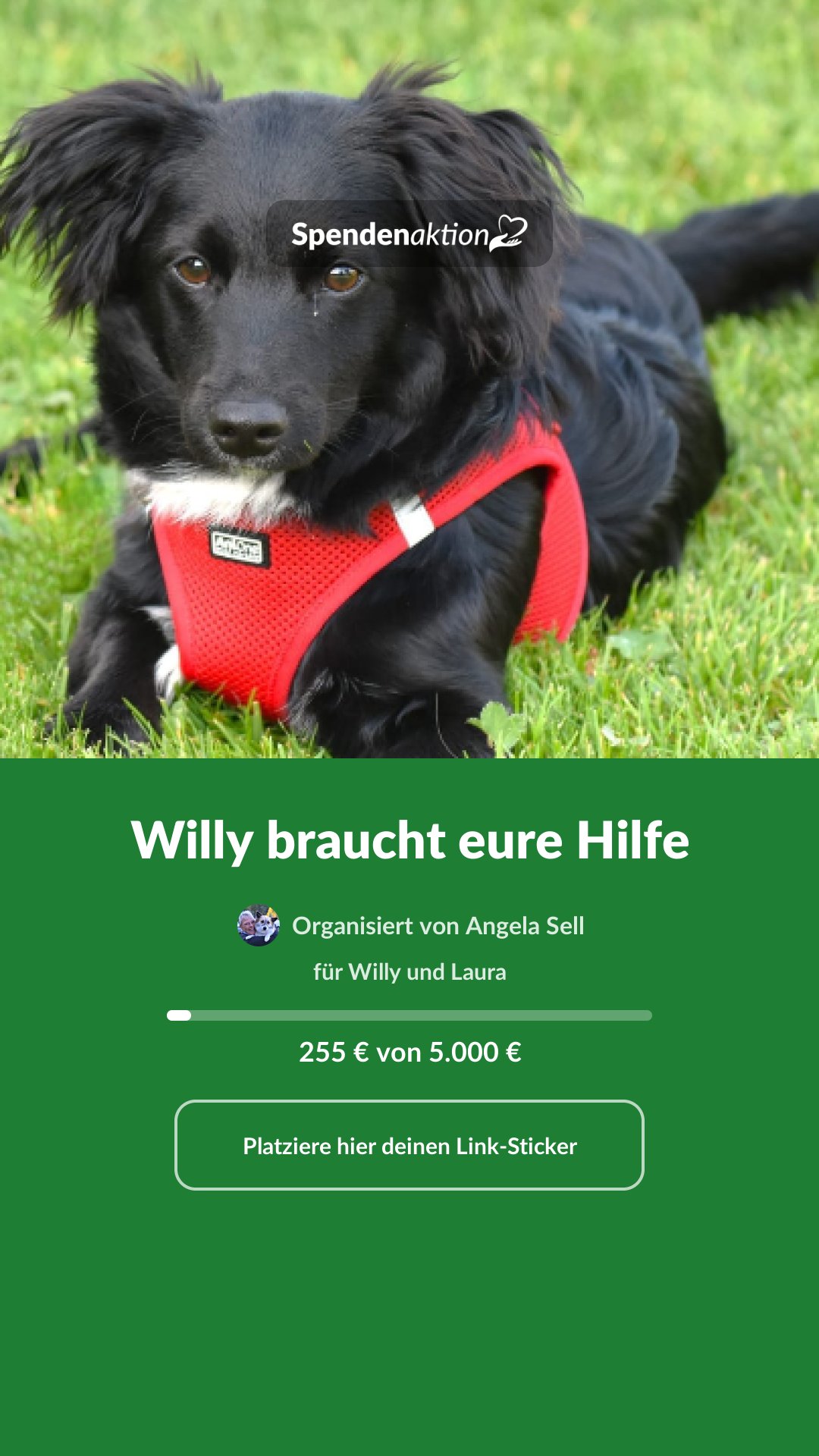 Vorschau des Bildes