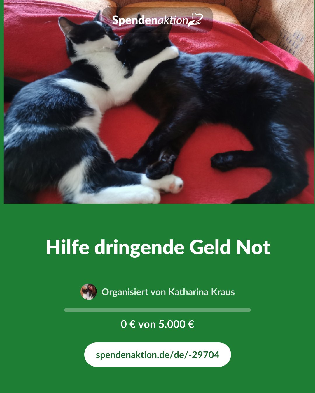 Vorschau des Bildes