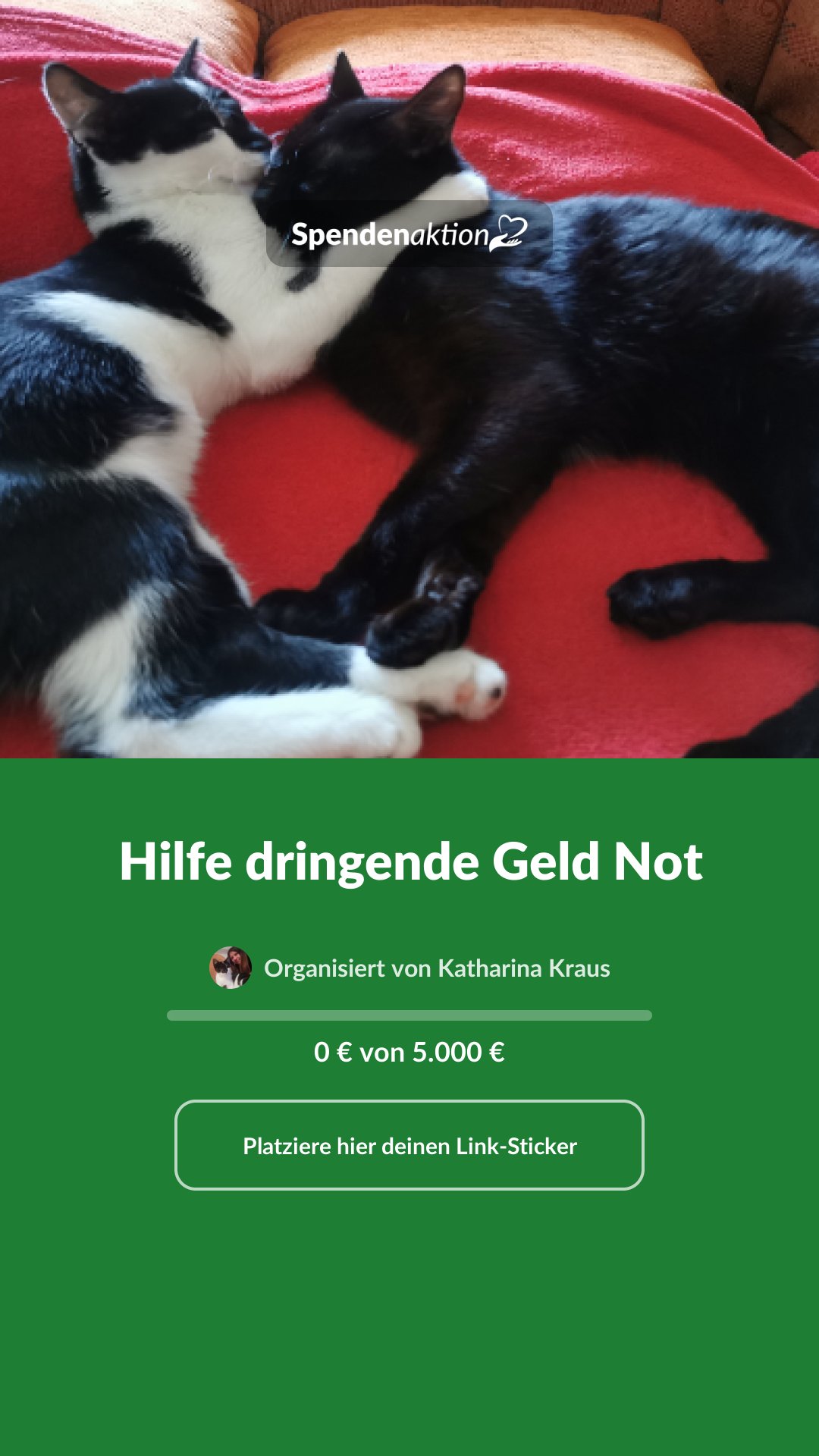 Vorschau des Bildes