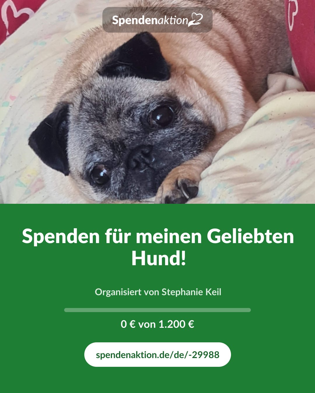 Vorschau des Bildes