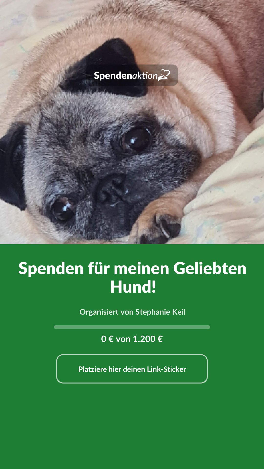 Vorschau des Bildes