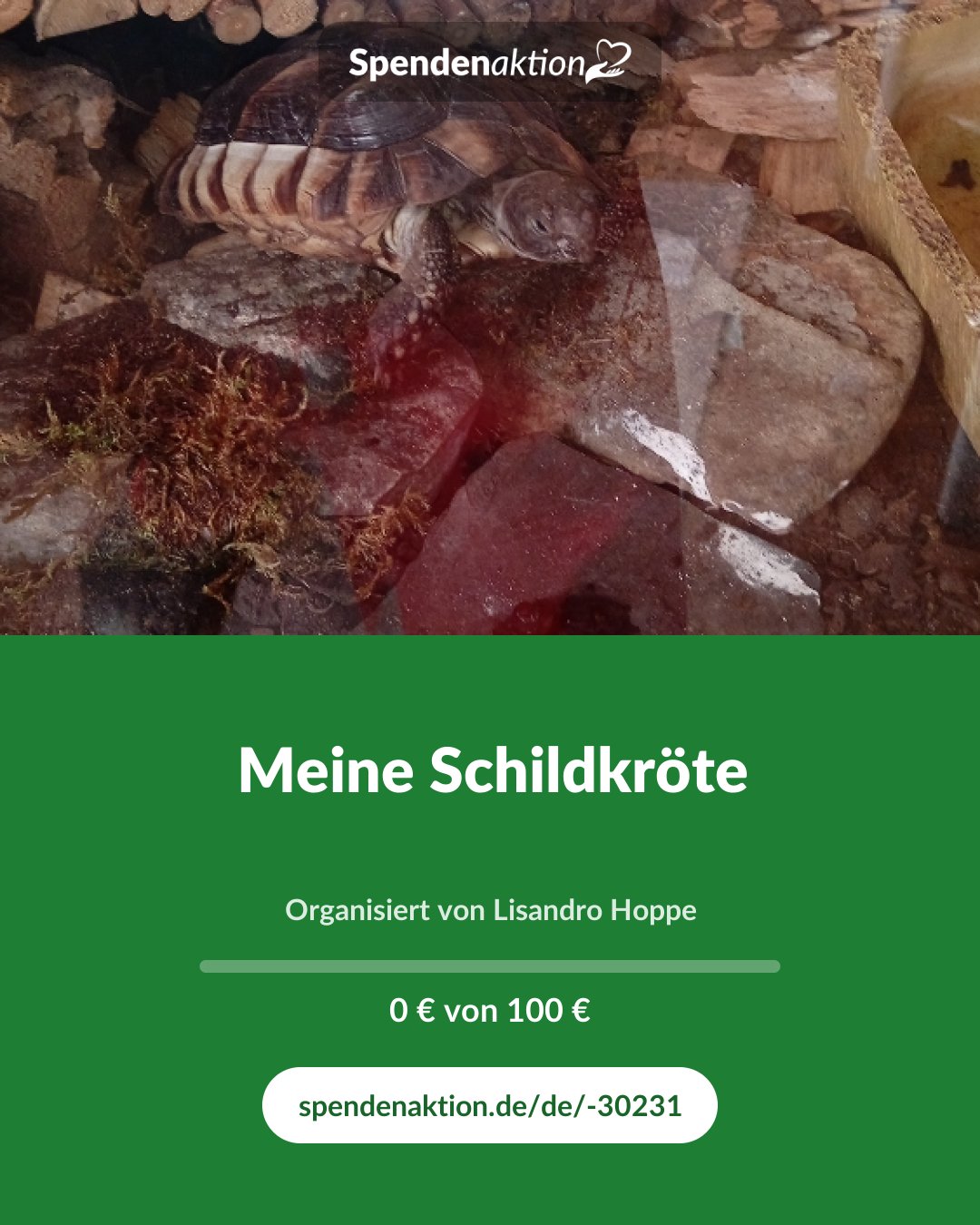 Vorschau des Bildes