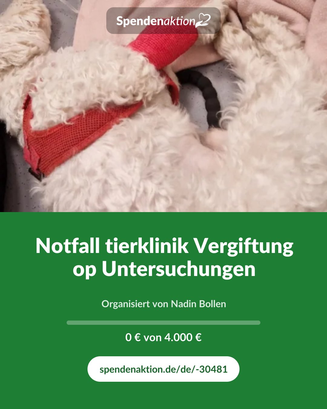 Vorschau des Bildes