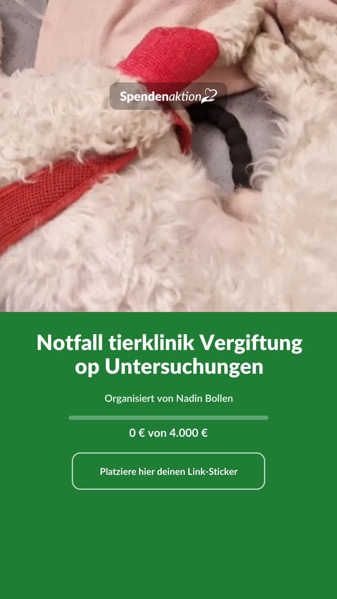 Vorschau des Bildes