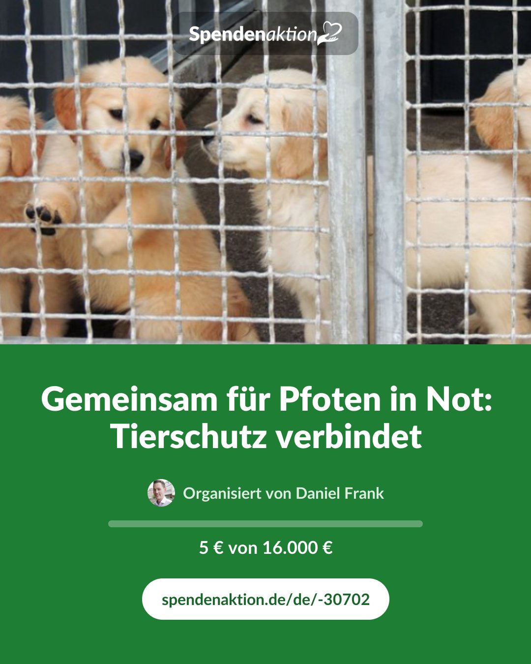 Vorschau des Bildes