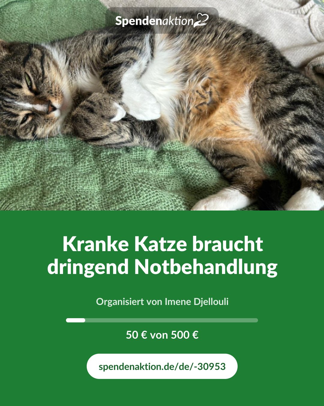 Vorschau des Bildes