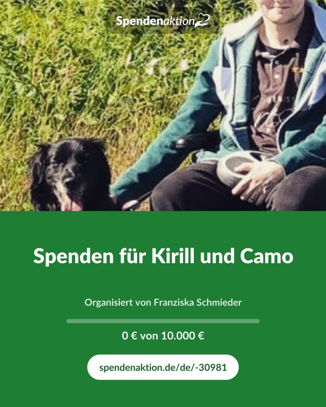Vorschau des Bildes