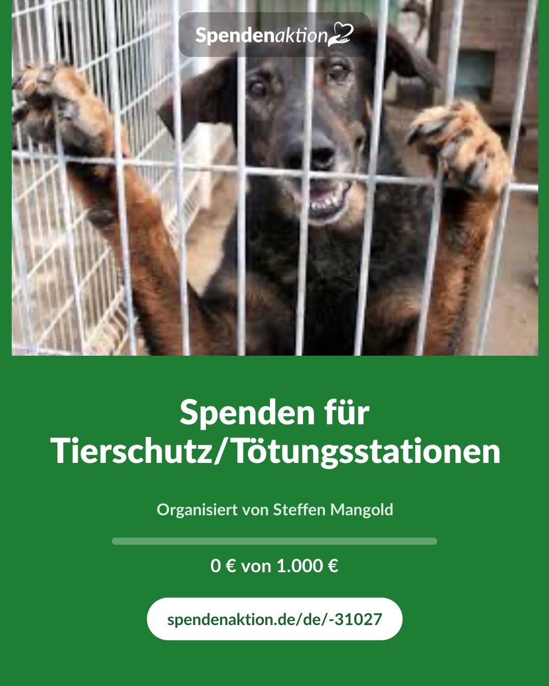 Vorschau des Bildes