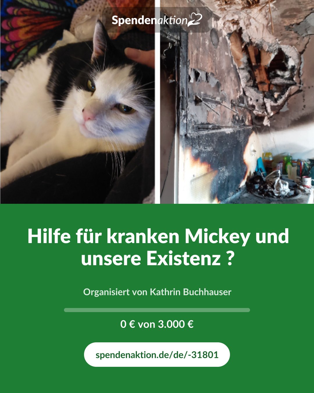 Vorschau des Bildes