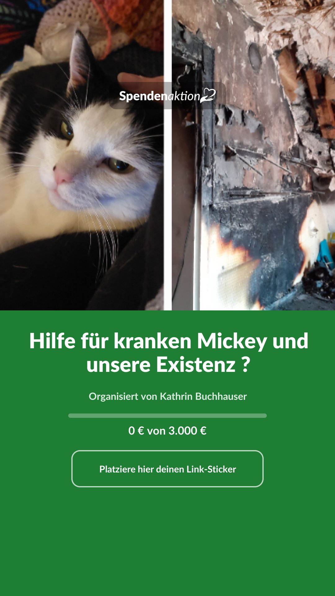 Vorschau des Bildes