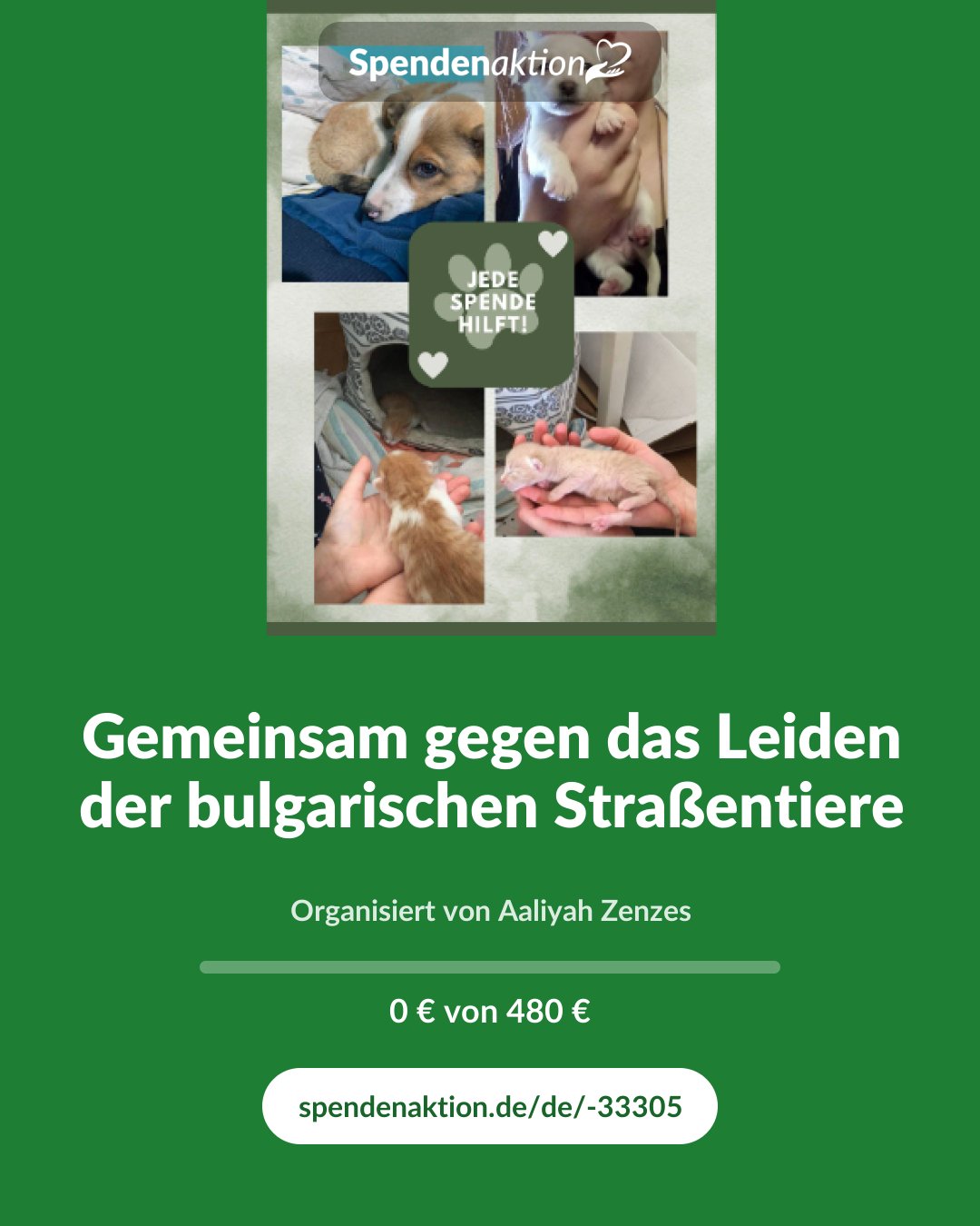 Vorschau des Bildes