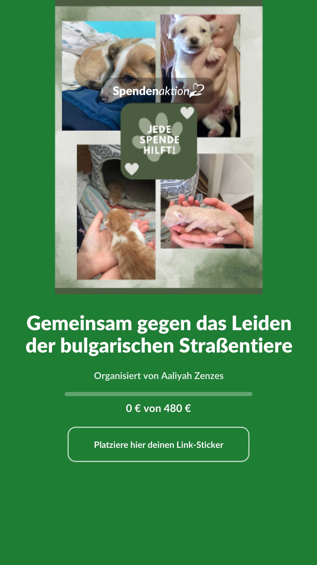 Vorschau des Bildes