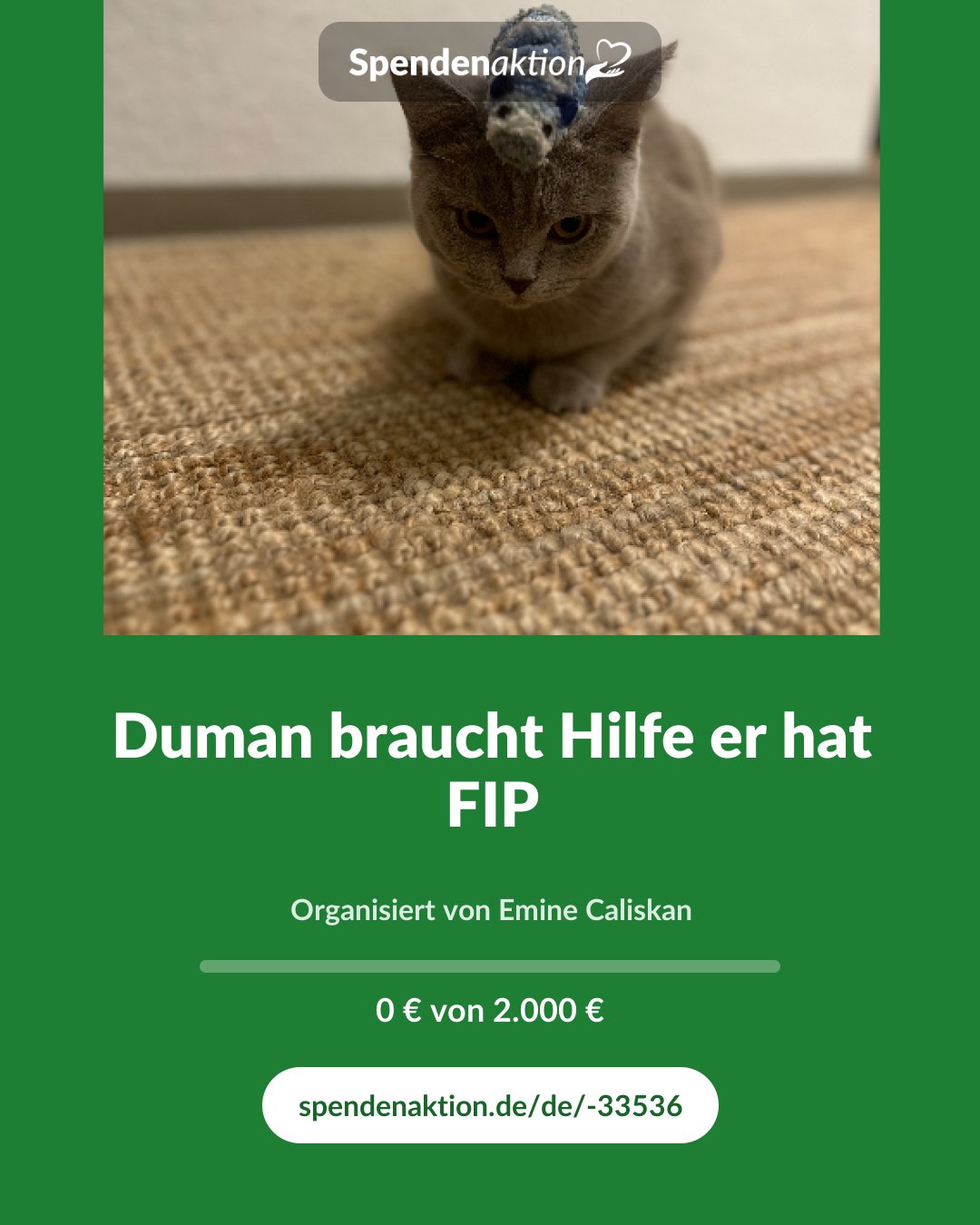 Vorschau des Bildes