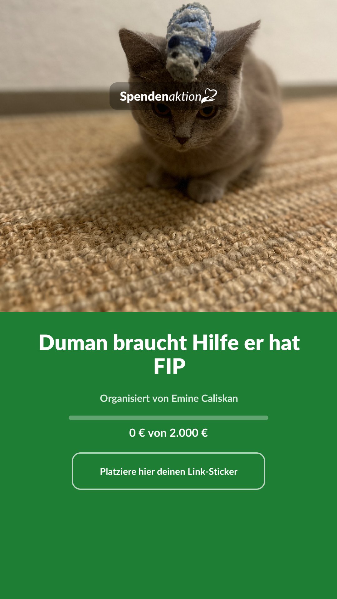 Vorschau des Bildes