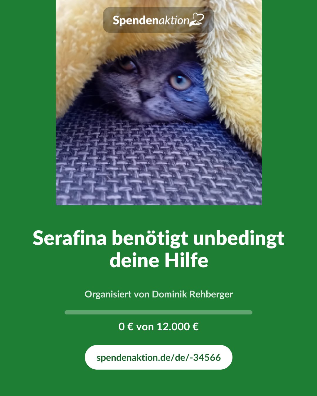 Vorschau des Bildes