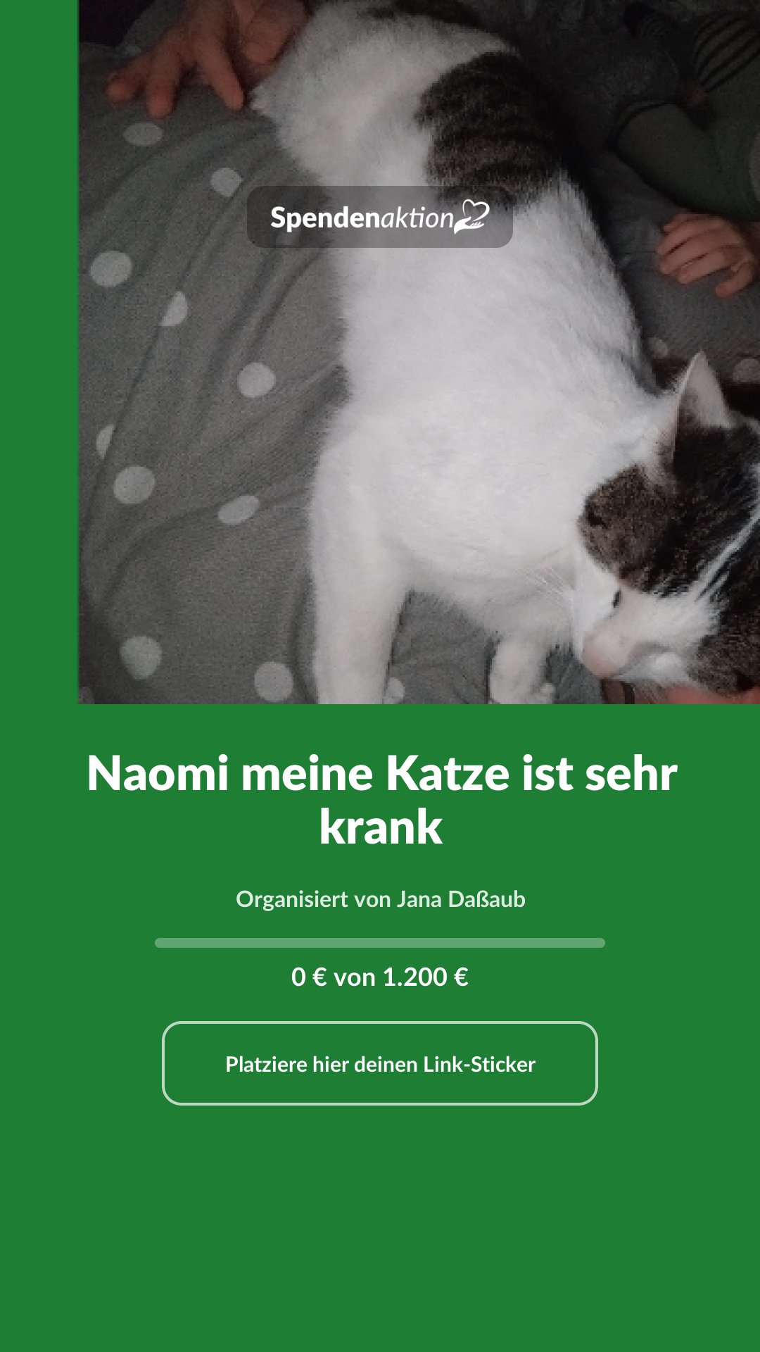Vorschau des Bildes
