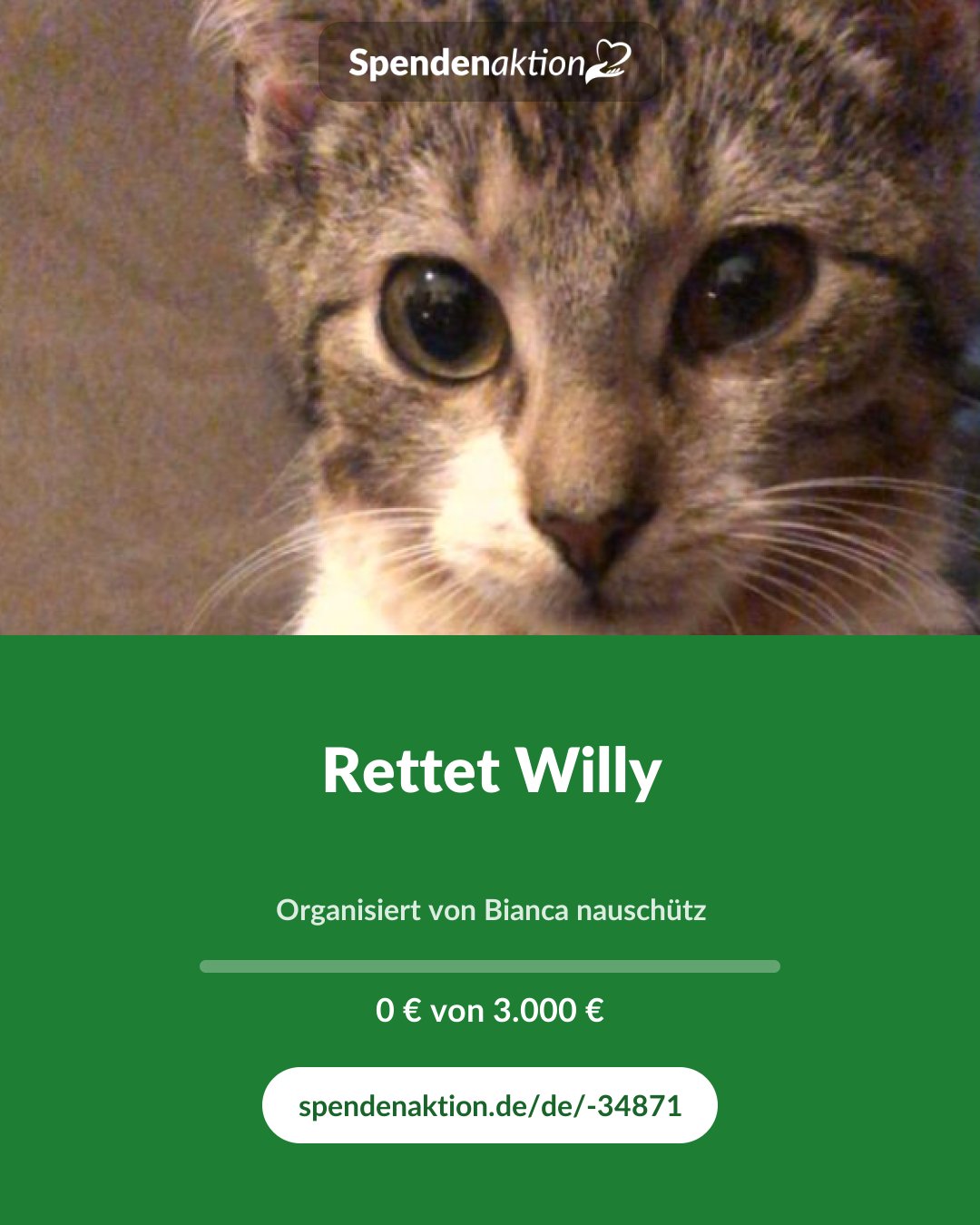 Vorschau des Bildes