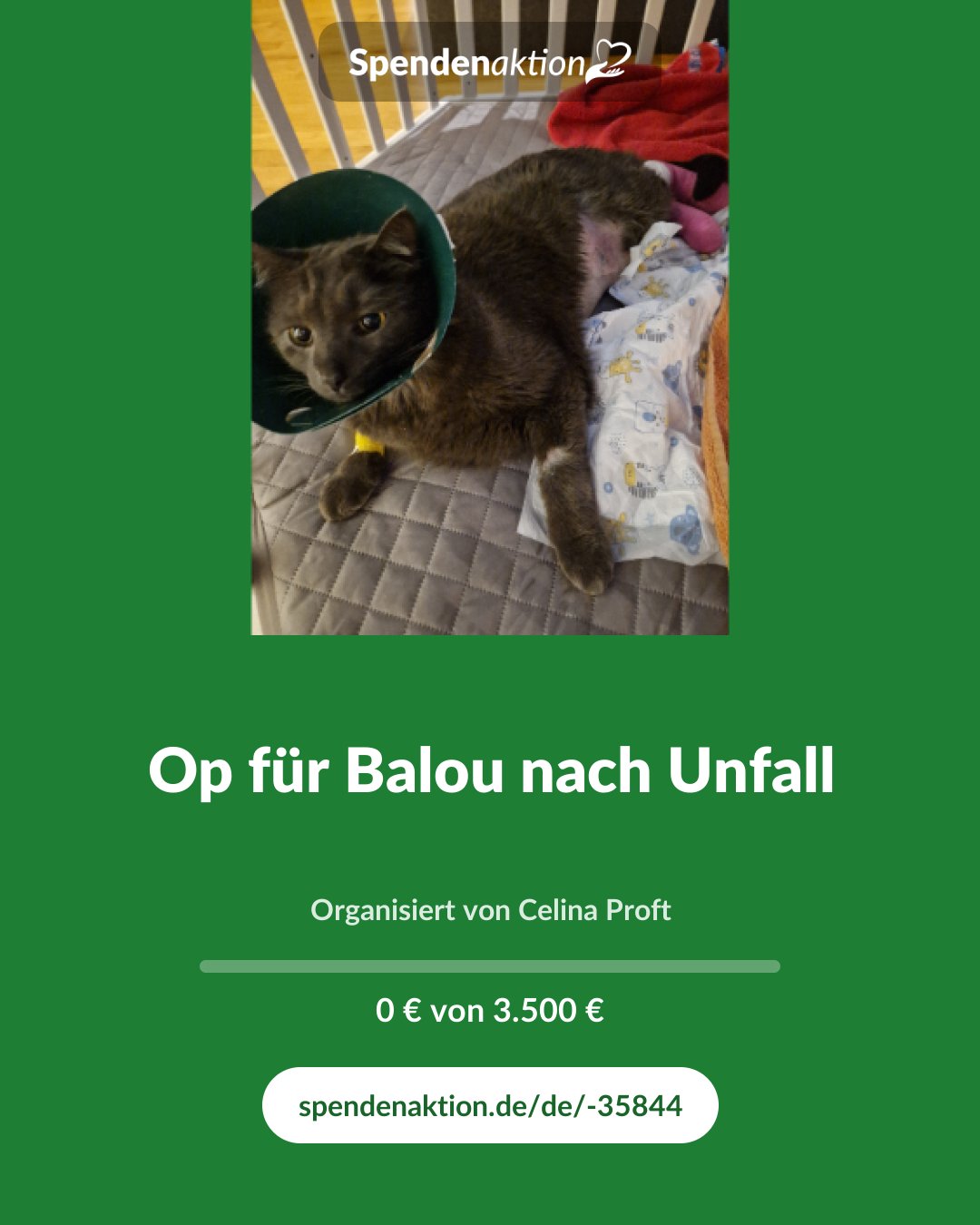 Vorschau des Bildes