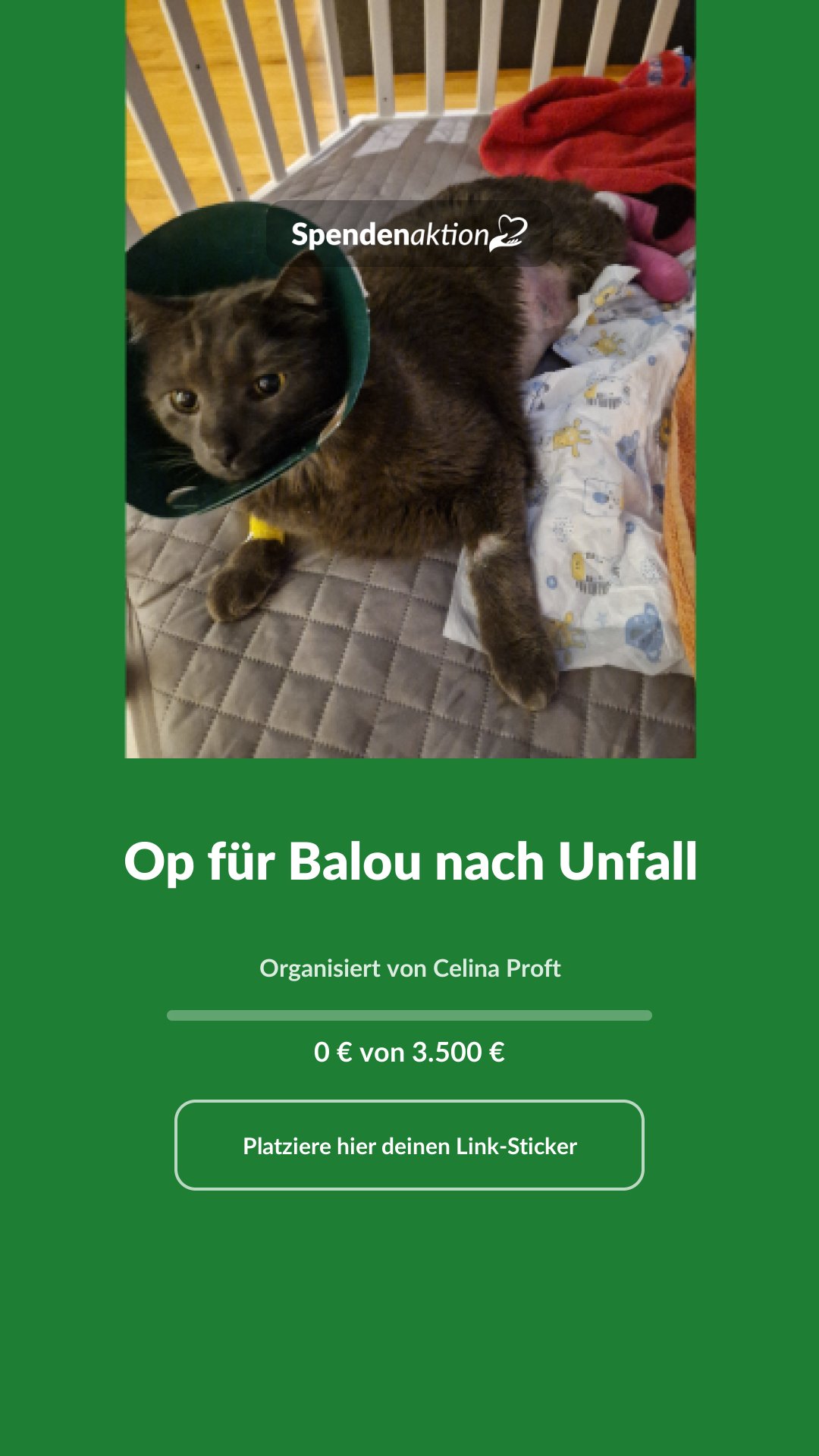 Vorschau des Bildes