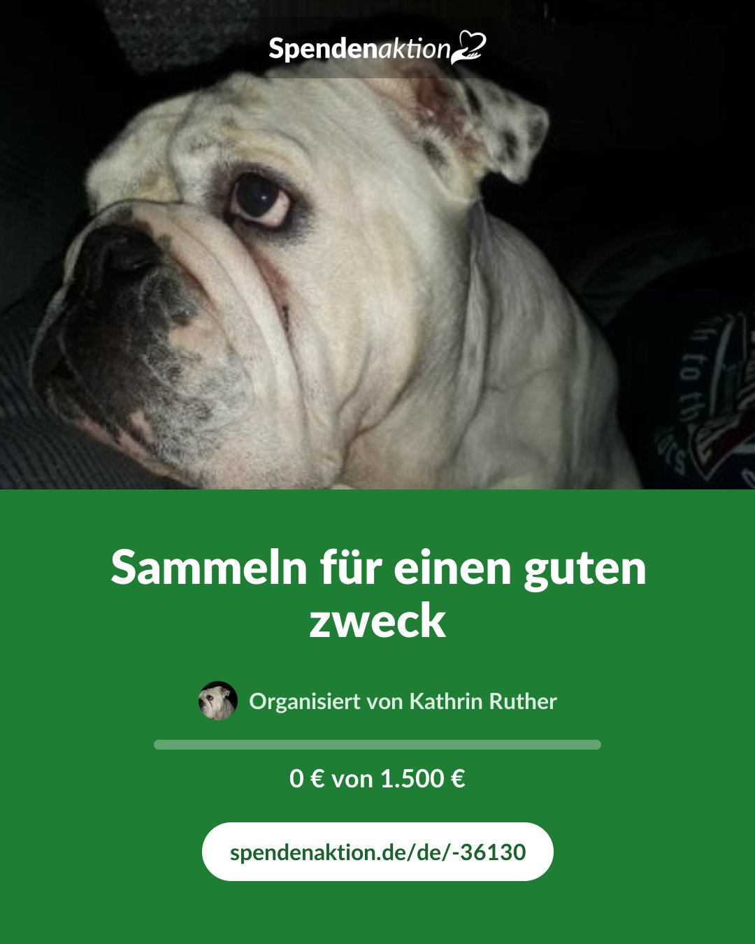 Vorschau des Bildes