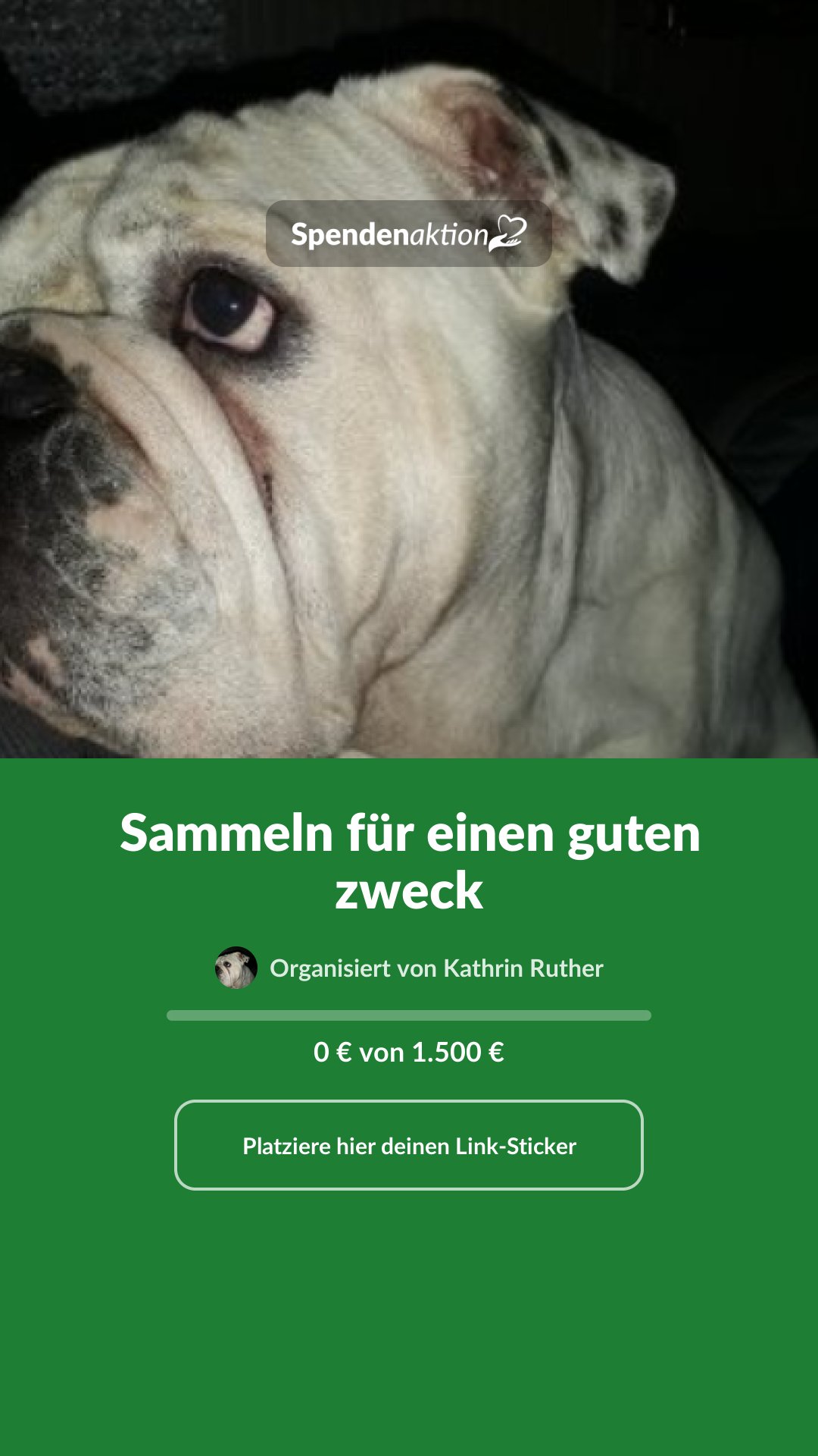 Vorschau des Bildes