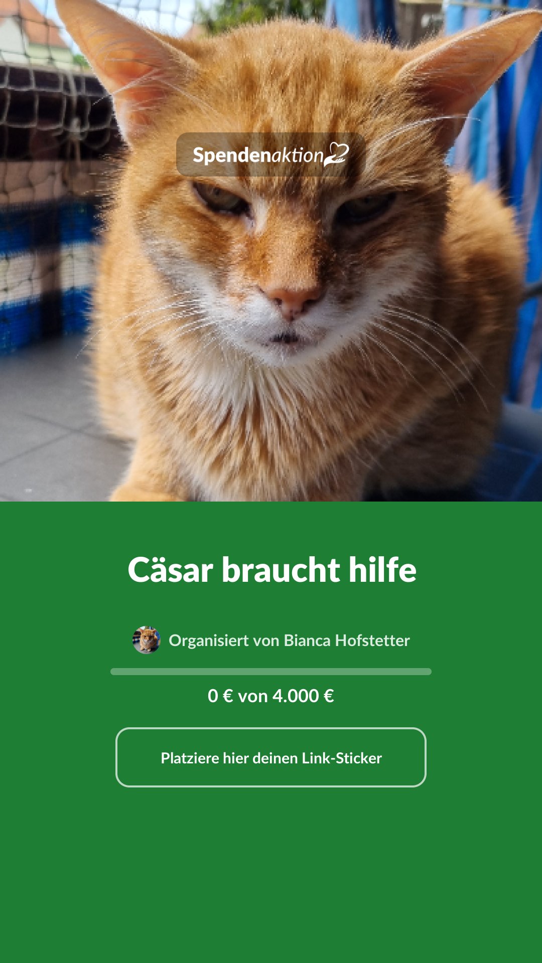 Vorschau des Bildes