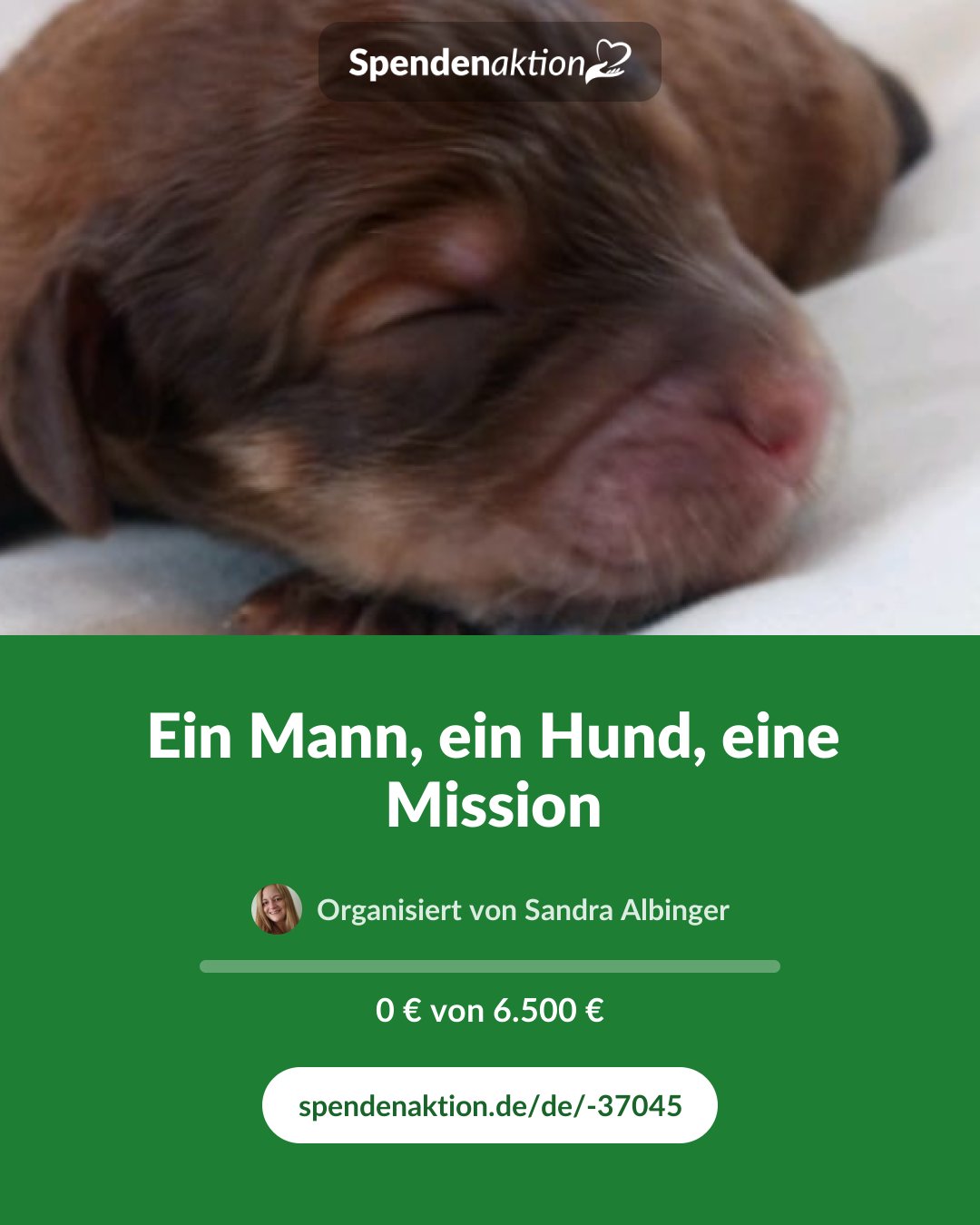 Vorschau des Bildes