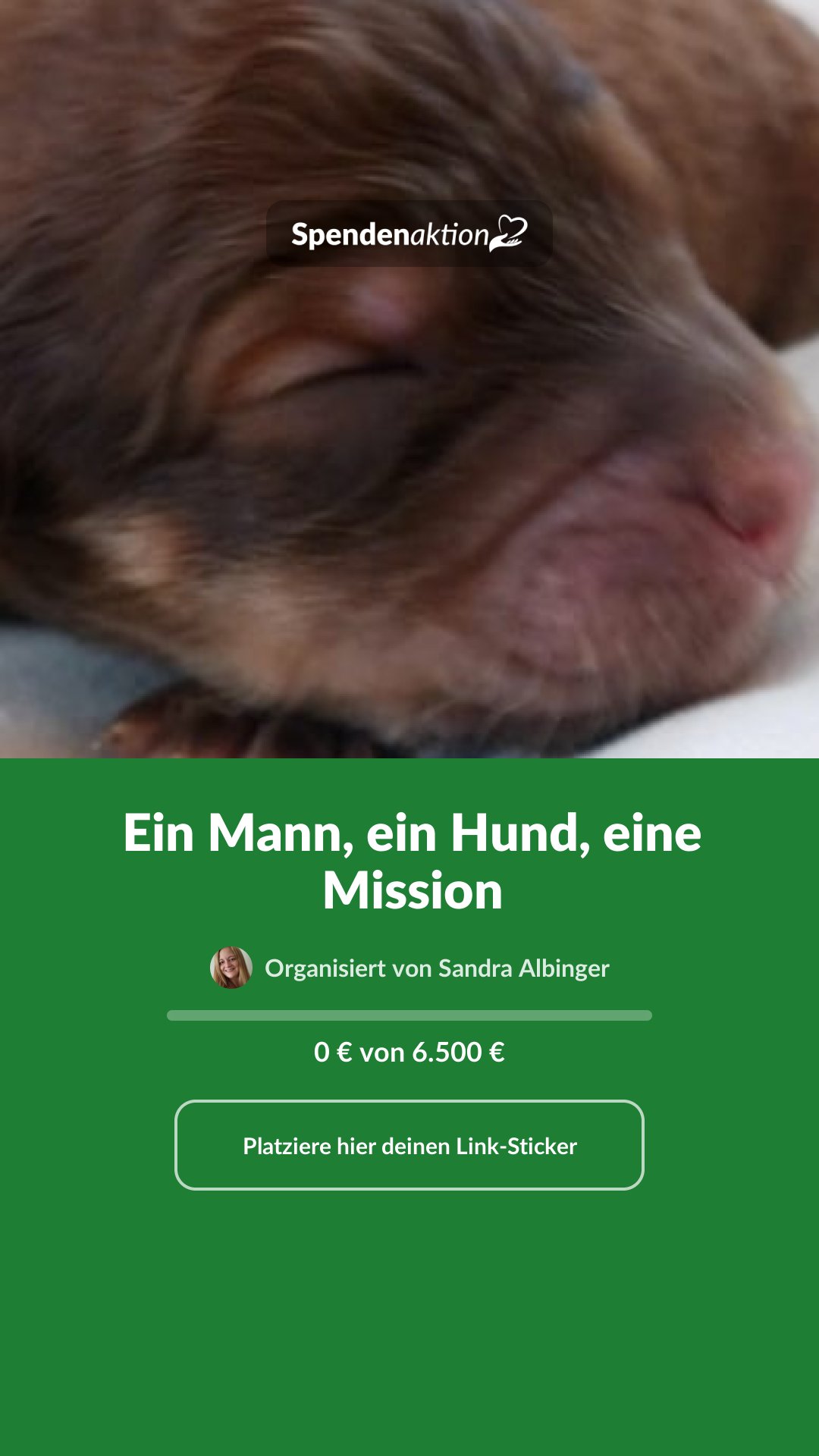 Vorschau des Bildes