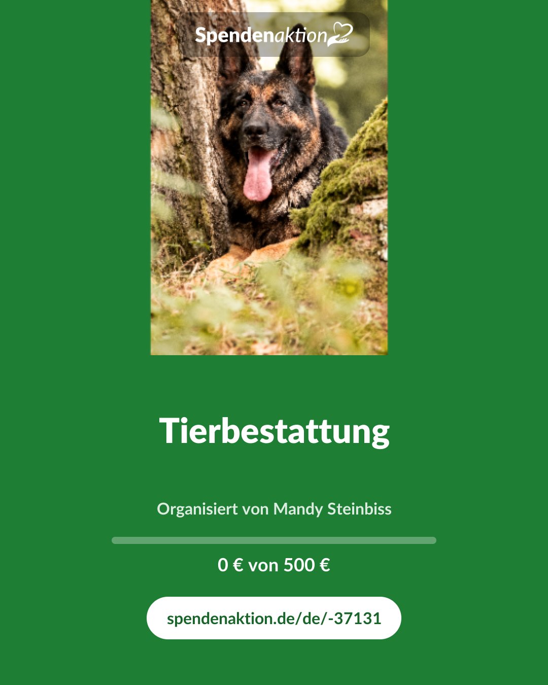 Vorschau des Bildes