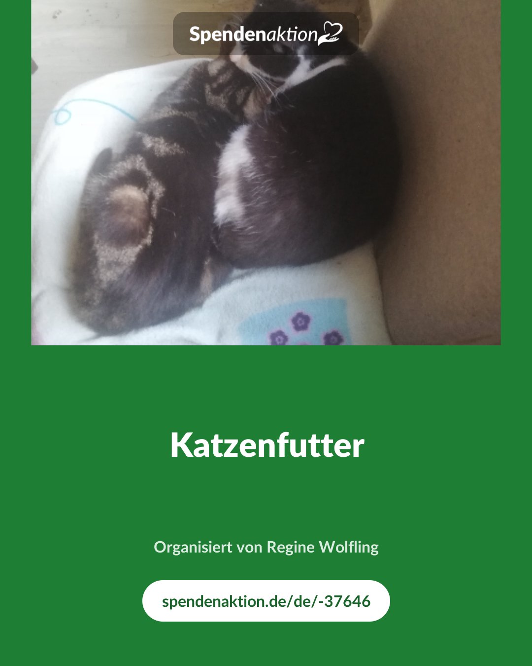 Vorschau des Bildes