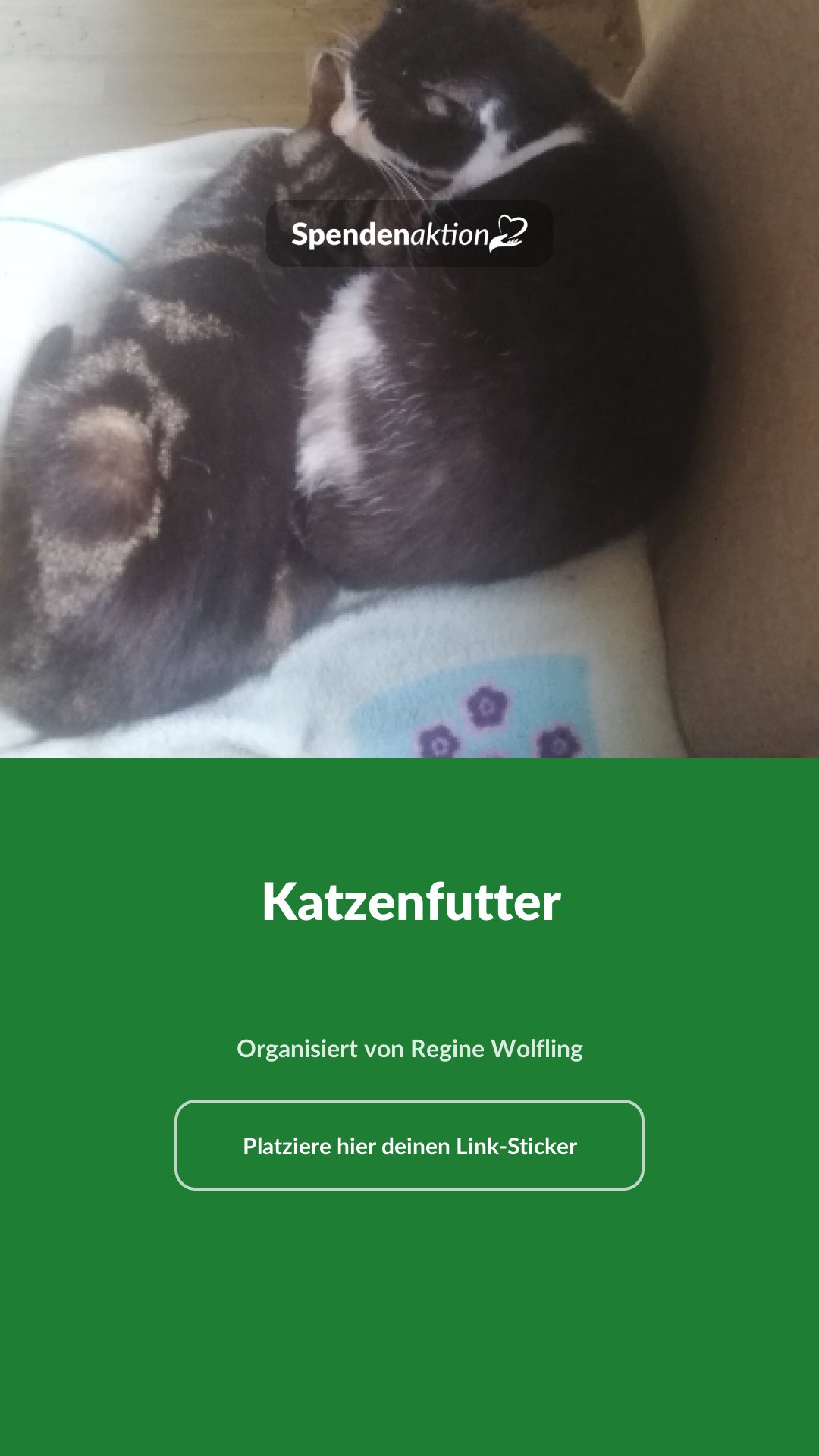 Vorschau des Bildes