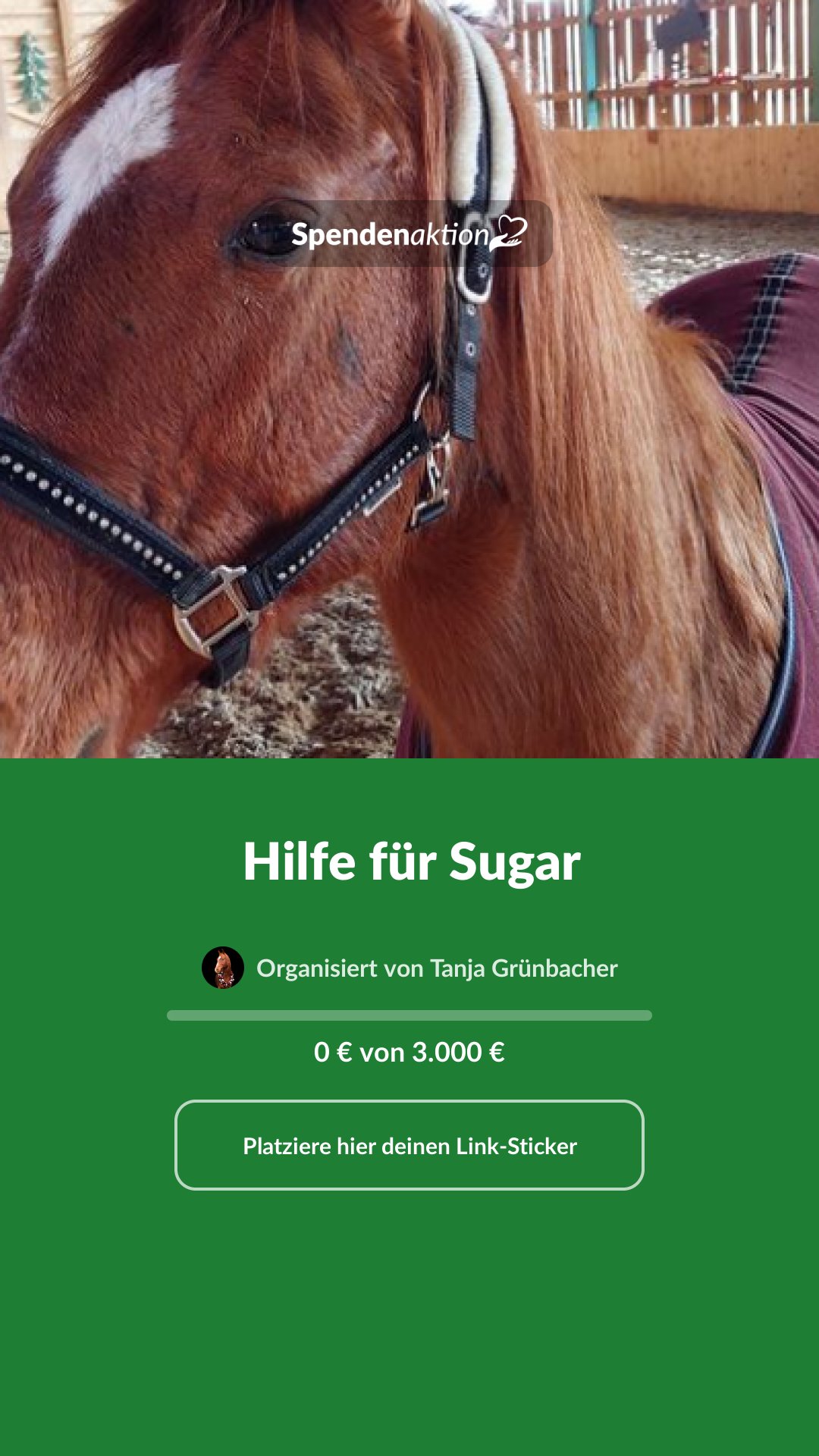 Vorschau des Bildes