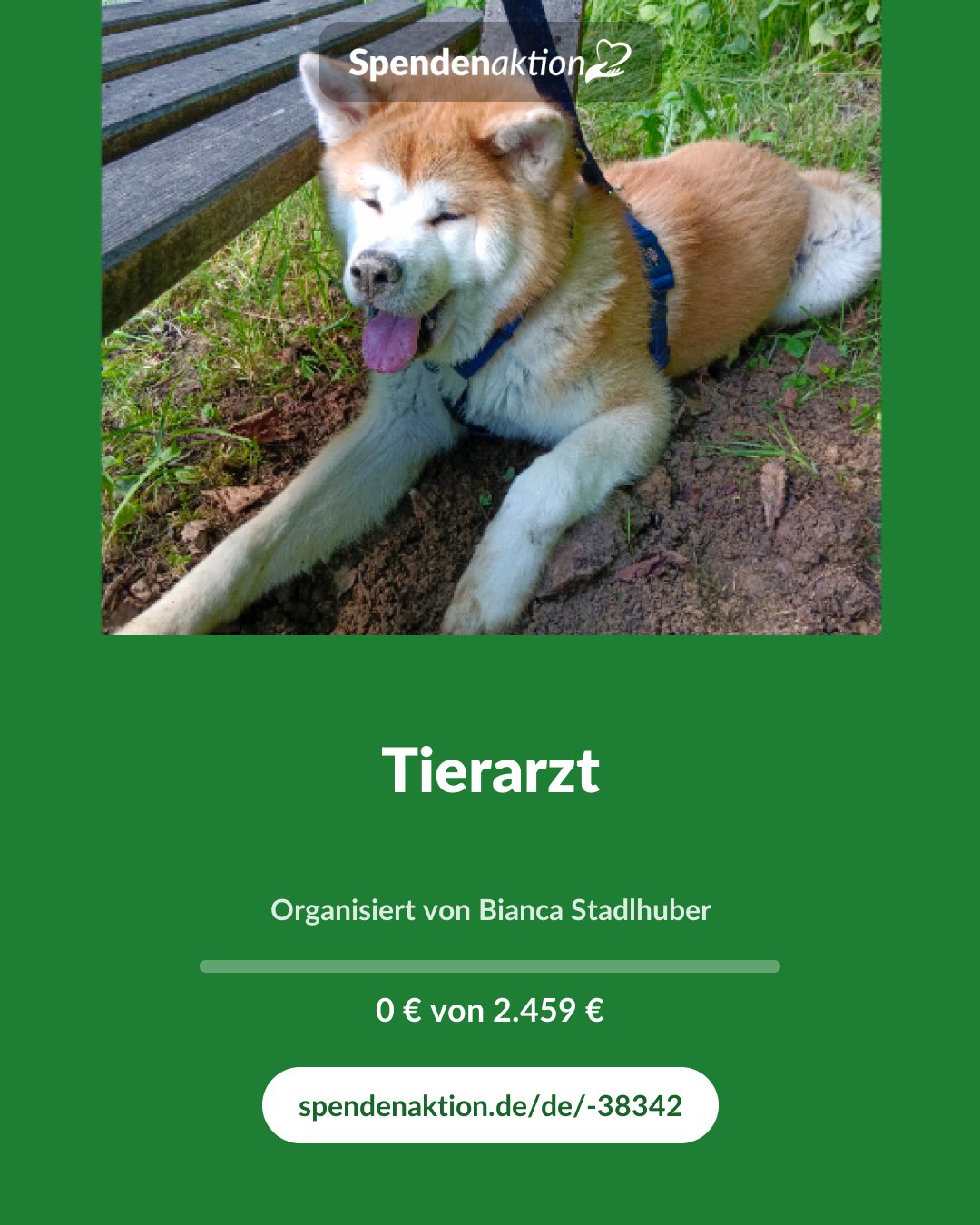Vorschau des Bildes