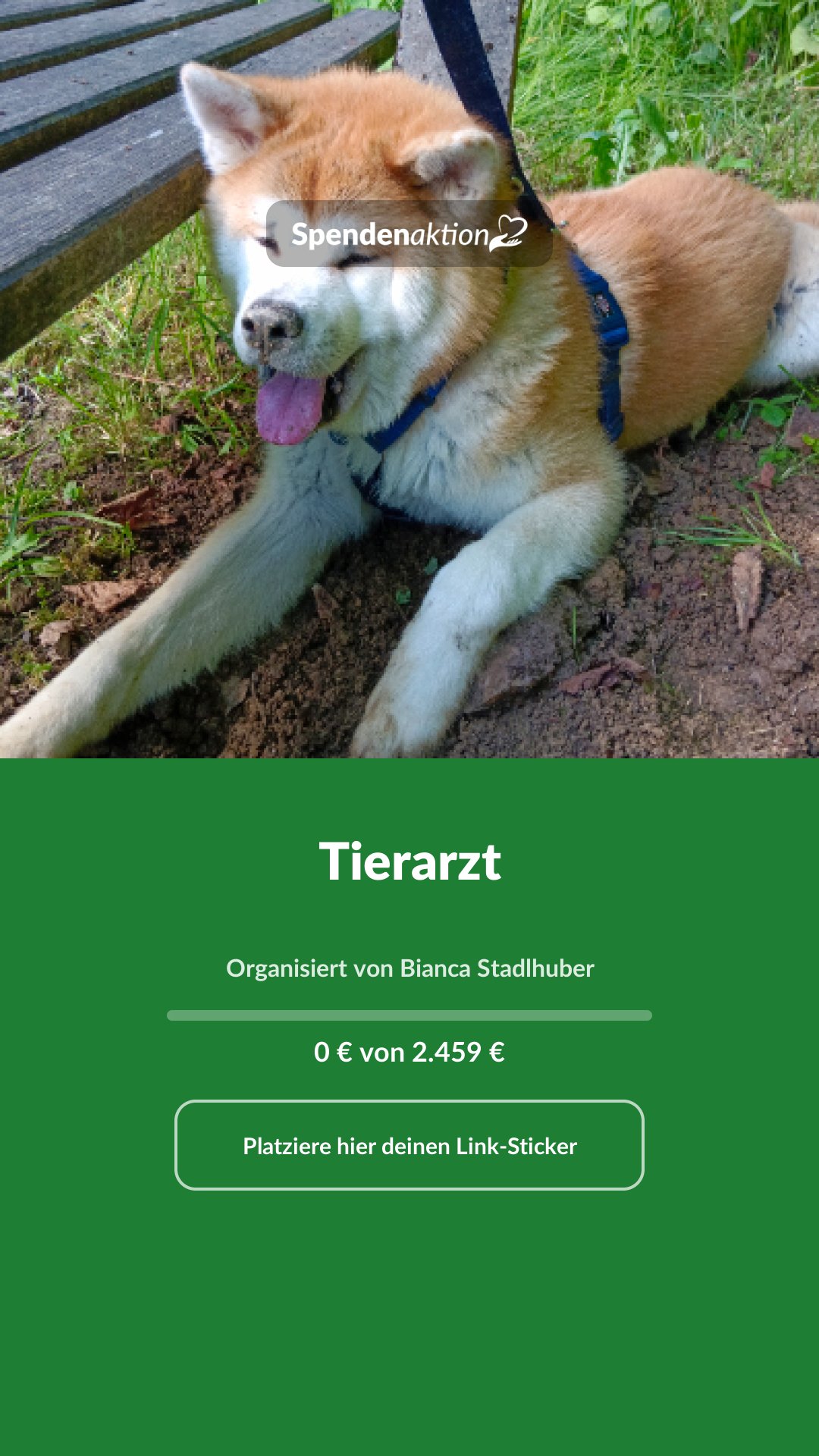Vorschau des Bildes