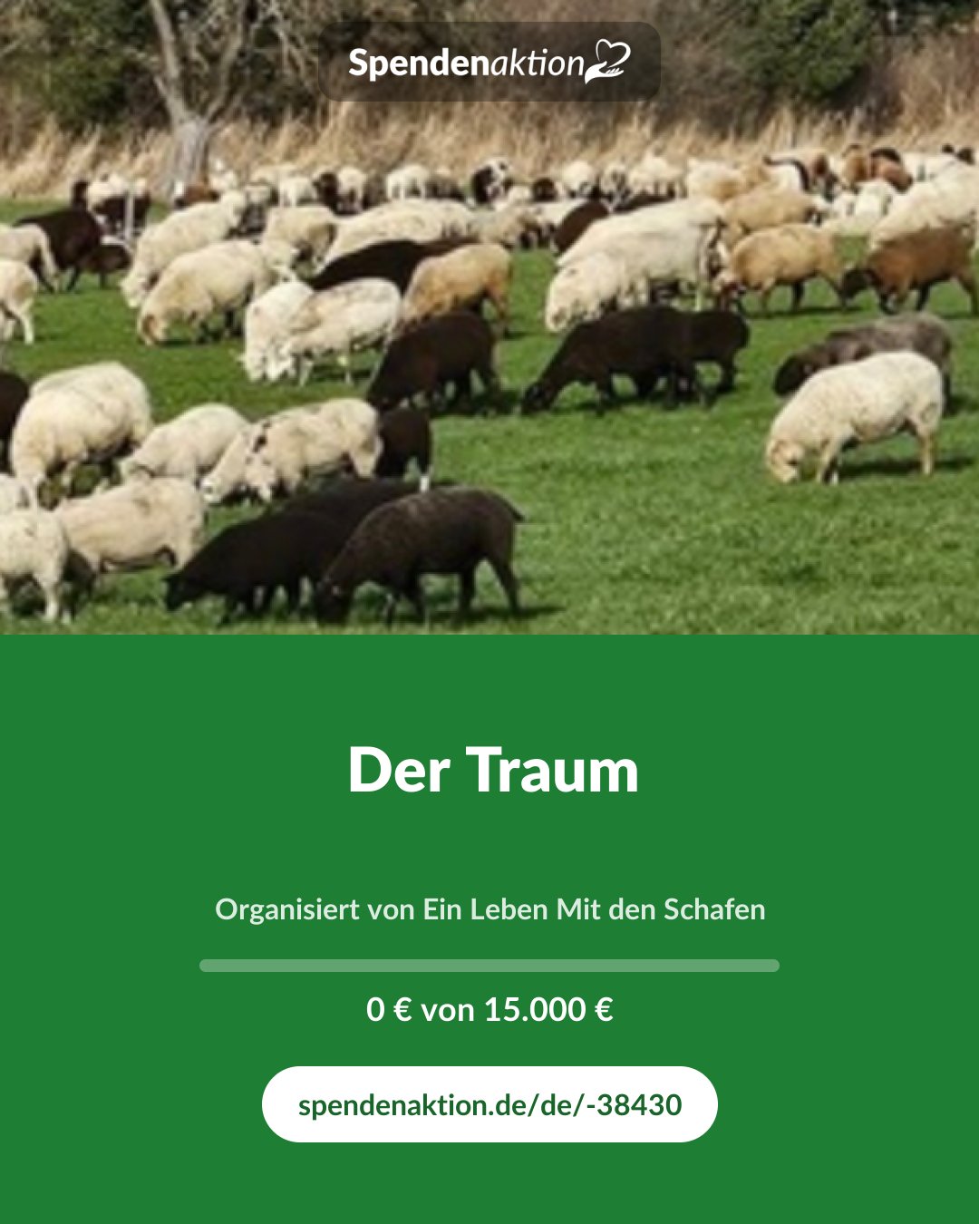 Vorschau des Bildes
